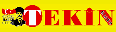 Tekin Haber Gazetesi