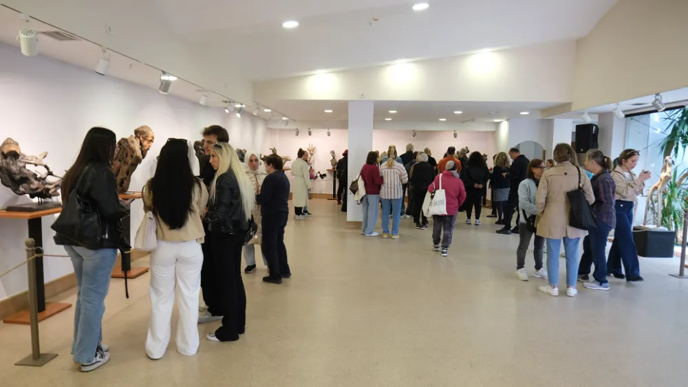 Ağaç köklerinin yeniden hayat bulduğu sergi sanatseverlerle buluştu 