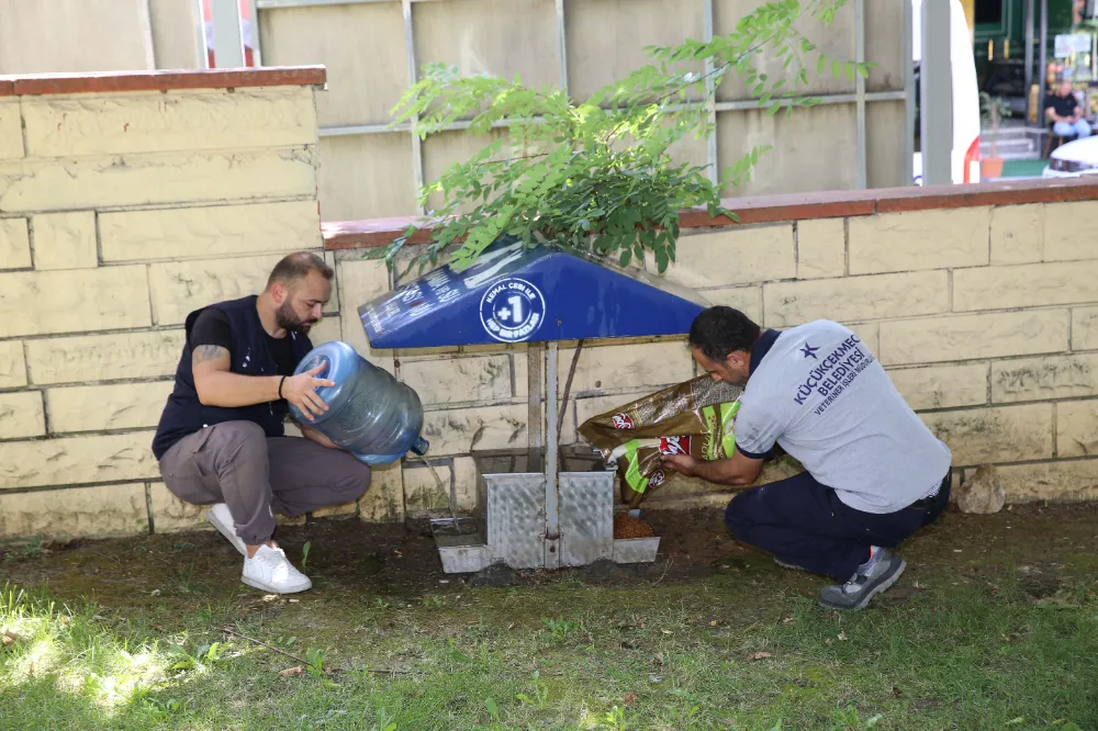 YAZIN SICAK GÜNLERİNDE KÜÇÜKÇEKMECE BELEDİYESİ’NDEN SOKAK HAYVANLARINA CAN SUYU ÇAĞRISI 